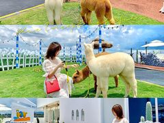 -Blue Concept Cafe&Farm·關於藍