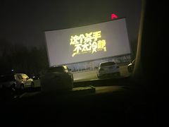 -枫花园汽车电影院(朝阳公园店)