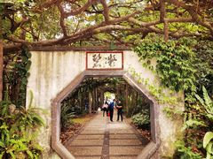 -广西壮族自治区药用植物园