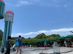 点击看大图 -季高兔窝窝亲子园(上海薰衣草公园店)