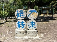 -十渡东湖港风景区