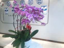 点击看大图 -丽美妍医疗美容·皮秒·立体分层抗衰