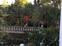 -龚家花园农家乐休闲别墅