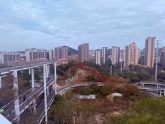 -仙岳公园