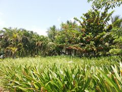 -白沙门生态公园