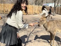 -水上乐园·欢乐世界