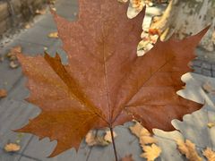 -Tequila Espresso(嘉善路店)