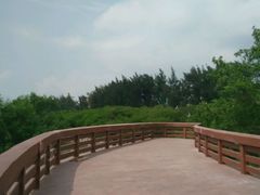 观海平台-宝安西湾红树林湿地公园