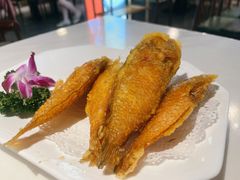 炸马头鱼-潮人姐妹轩(海宁路店)