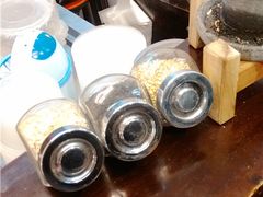 -鞠氏黑芝麻糊(水塔店)