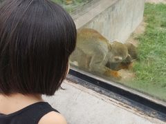 -石家庄市动物园