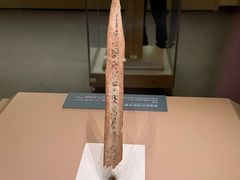 -安阳博物馆