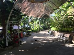 -100蛋泥浆浴