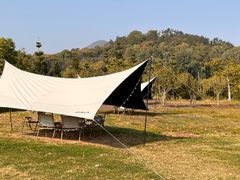 -福建鲤鱼洲酒店