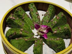 -阿露佳·舌尖上的安吉菜