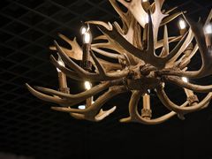 -鹿园 MOOSE(长宁店)