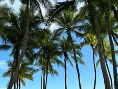 -范饭椰林川湘味海鲜·椰子鸡(三亚湾椰梦长廊店)