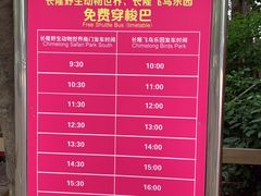 -广州长隆飞鸟乐园