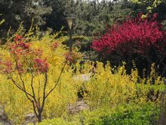 -大兴滨河森林公园