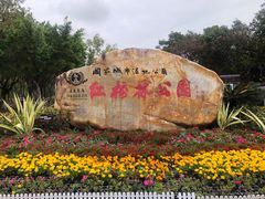 -大亚湾红树林城市湿地公园