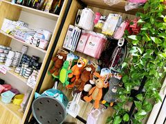 -中农大我爱我爱24h动物医院·中医针灸·猫专科·骨科医疗中心(双井店)