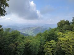 -莫干山风景区