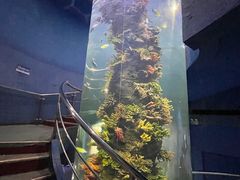 -西安曲江海洋极地公园