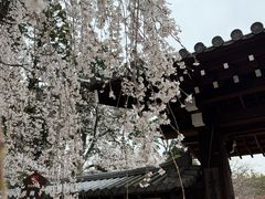 -醍醐寺