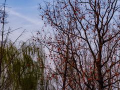 -祥源·阜阳生态乐园