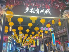 -老凯俚酸汤鱼(多彩城店)