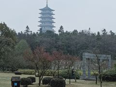 -宜兴龙背山森林公园