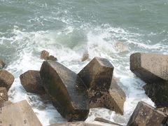 -海之味海鲜大咖·家常菜