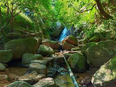-阳台山森林公园