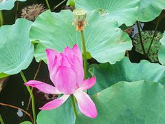 -上海市保健医疗中心