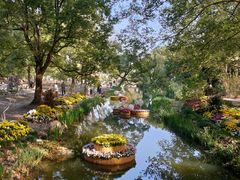 -上海共青森林公园