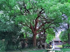 -绍兴鲁迅故里·沈园景区