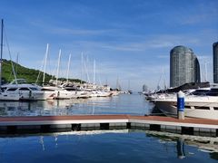 -小猫钓鱼海钓俱乐部(椰梦长廊店)