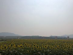 -光明小镇欢乐田园
