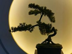 -席仁堂推拿按摩脊柱调理(世纪科贸大厦店)