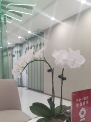 -Yestar艺星整形美容医院