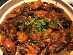 -金掌勺东北菜(格兰晴天店)