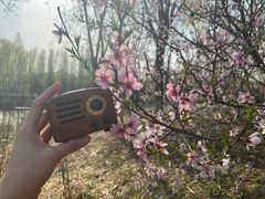 -东郊湿地公园