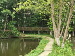 -桤木河湿地公园