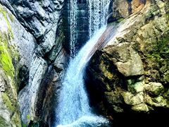 -牛背梁国家森林公园