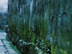 -塔川景区