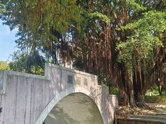-金砂公园