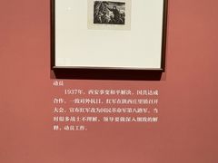 -四川美术馆