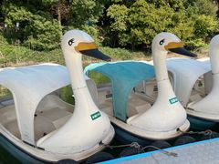 -水濂山森林公园