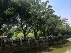 -晓港公园