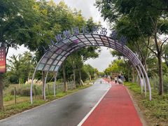 -上海长兴岛郊野公园